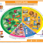 Supplements: Your Essential Guide to a Balanced Diet