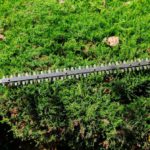 Hedge Trimming Tips for Beautiful Gardens in West Coker