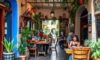 Unique Flavours at Cafes in San Miguel de Allende