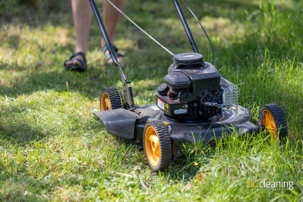 Grass Cutting Services: Key Tips for Lawns in Yeovil