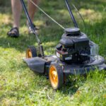 Grass Cutting Services: Expert Tips and Options in Ilchester