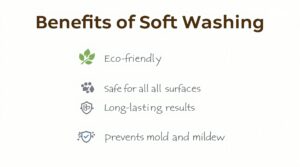 Soft Wash Housewashing Services in Chester Springs
