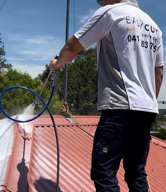Metal Roof Painting Tips from a Hills District Expert