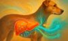 Liver Health Monitoring: Essential Guidelines for Your Dog
