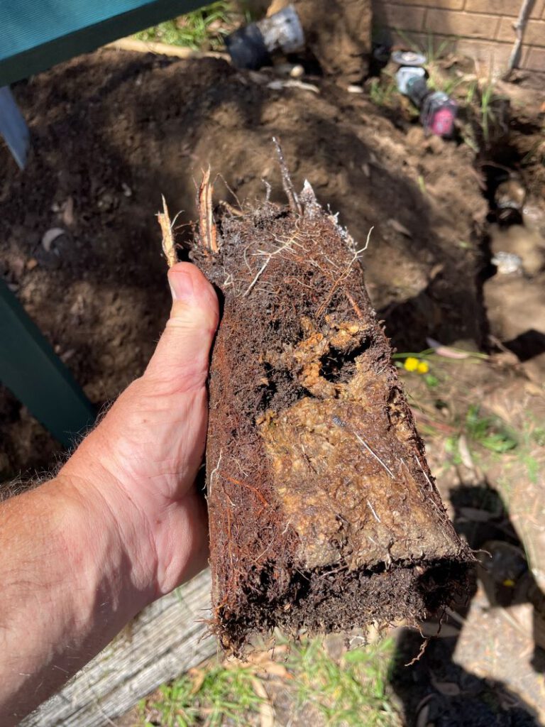 Impact of Clay Soil on Caboolture’s Pipe Systems