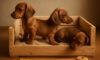 Puppy Comfort: Essential Tips for a Snug Crate Setup