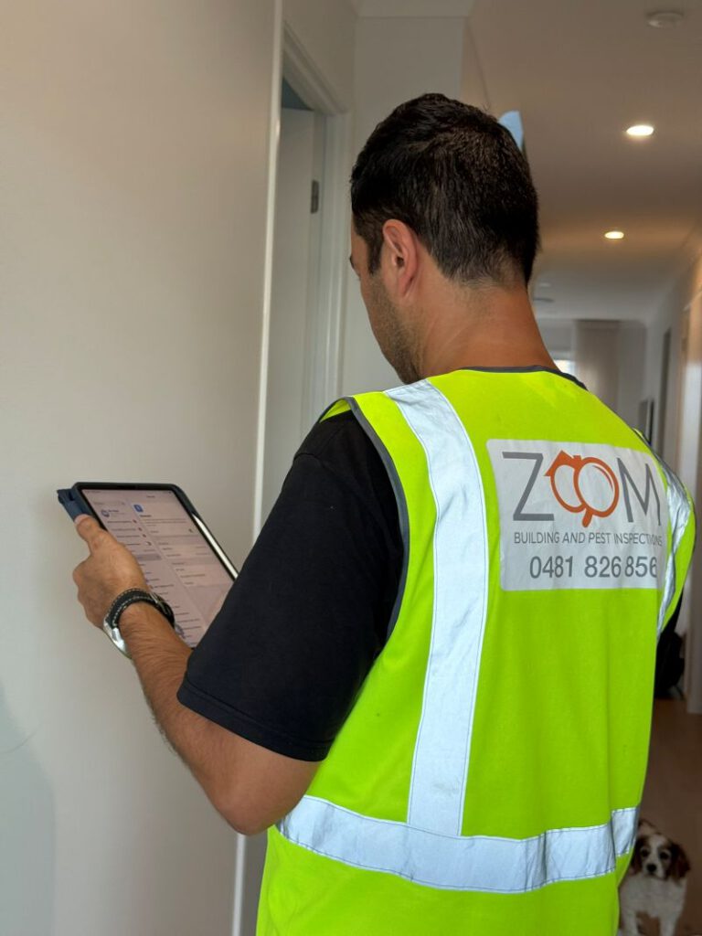 Building and Pest Inspection: Your Comparative Guide for Brisbane